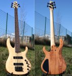 Acepro 5-String_merged.jpg