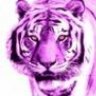 Magenta